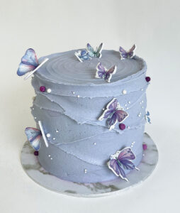 Butterfly Wonderland Cake
